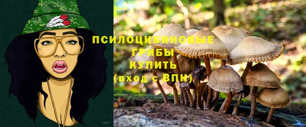кокаин премиум Магас